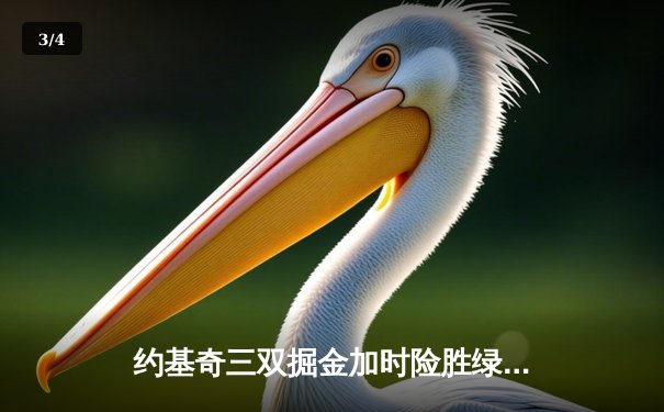 约基奇三双掘金加时险胜绿军，塔图姆空砍40分难挽败局 - 3